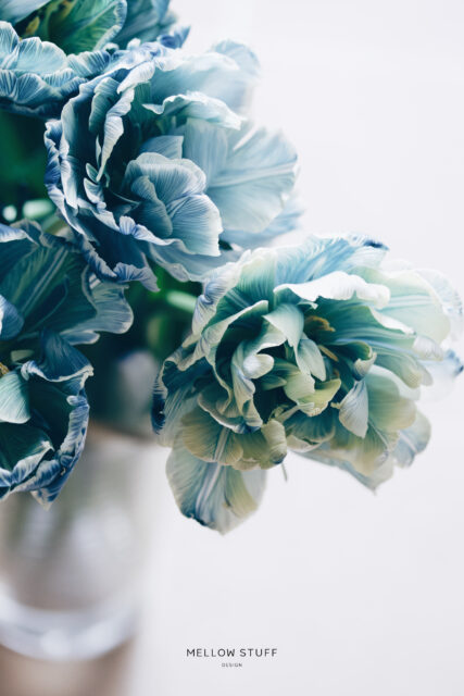 blue tulip | MELLOW STUFF DESIGN | メロウスタフ | 商品 作品 撮影 | 花雑貨 | 子宮体癌 闘病 | 東京都目黒区