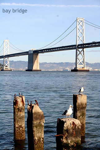 クリスマス休暇　SF　二日目　【 bay bridge 】 | p.67 | MELLEOW STUFF DESIGN | メロウスタフ | sumiko taniuchi | フォトグラファー | 写真撮影 | フラワーアレンジ | 東京都目黒区