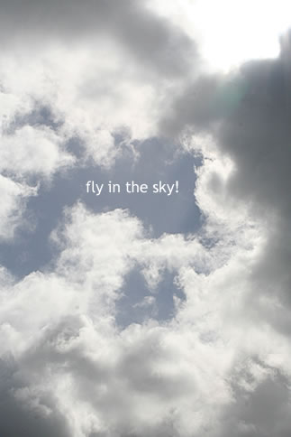 fly in the sky! | p.120 | MELLEOW STUFF DESIGN | メロウスタフ | sumiko taniuchi | フォトグラファー | 写真撮影 | フラワーアレンジ | 東京都目黒区