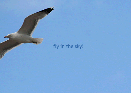 fly in the sky! | main image | MELLOW STUFF DESIGN | メロウスタフ | 商品撮影 | 作品撮影 | 花雑貨制作販売 | 各種デザイン | 東京都目黒区