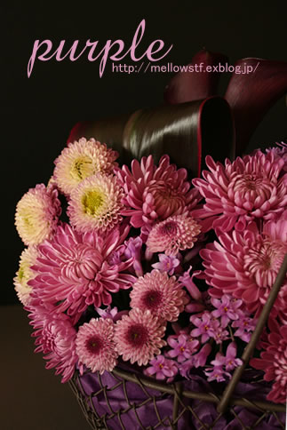 紫いっぱいの花籠 | p.123 | MELLEOW STUFF DESIGN | メロウスタフ | sumiko taniuchi | フォトグラファー | 写真撮影 | フラワーアレンジ | 東京都目黒区