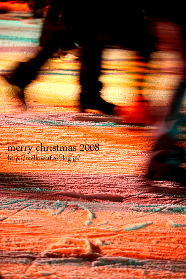 【クリスマス休暇】　merry christmas 2008 | p.274 | MELLEOW STUFF DESIGN | メロウスタフ | sumiko taniuchi | フォトグラファー | 写真撮影 | フラワーアレンジ | 東京都目黒区