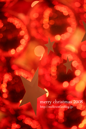 【クリスマス休暇】　merry christmas 2008 | p.274 | MELLEOW STUFF DESIGN | メロウスタフ | sumiko taniuchi | フォトグラファー | 写真撮影 | フラワーアレンジ | 東京都目黒区