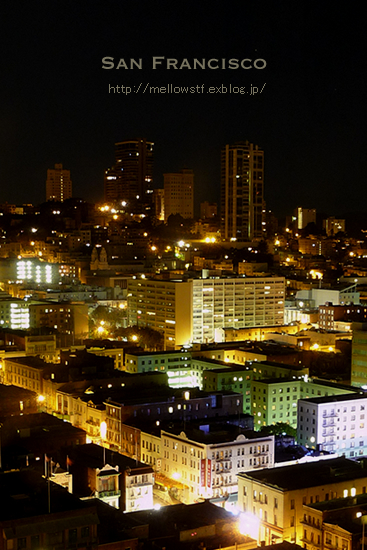 サンフランシスコの昼と夜。 | p.422 | MELLEOW STUFF DESIGN | メロウスタフ | sumiko taniuchi | フォトグラファー | 写真撮影 | フラワーアレンジ | 東京都目黒区