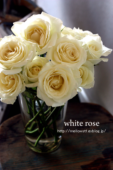 white roses | p.424 | MELLEOW STUFF DESIGN | メロウスタフ | sumiko taniuchi | フォトグラファー | 写真撮影 | フラワーアレンジ | 東京都目黒区