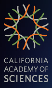 California Academy of Sciences | main image | MELLOW STUFF DESIGN | メロウスタフ | 商品撮影 | 作品撮影 | 花雑貨制作販売 | 各種デザイン | 東京都目黒区
