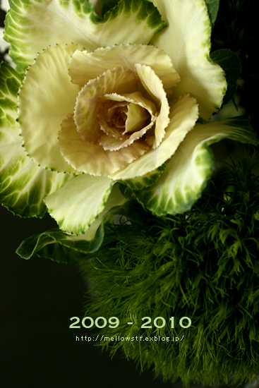 2009から2010へ | MELLOW STUFF DESIGN | メロウスタフデザイン | 商品撮影 | 作品撮影 | 花雑貨制作販売 | 各種デザイン | 東京都目黒区