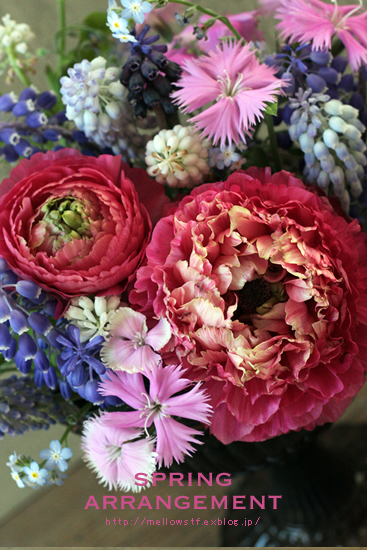 育てたお花を使って、春のアレンジメント♪ | p.557 | MELLEOW STUFF DESIGN | メロウスタフ | sumiko taniuchi | フォトグラファー | 写真撮影 | フラワーアレンジ | 東京都目黒区