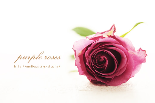 purple rose | p.615 | MELLEOW STUFF DESIGN | メロウスタフ | sumiko taniuchi | フォトグラファー | 写真撮影 | フラワーアレンジ | 東京都目黒区