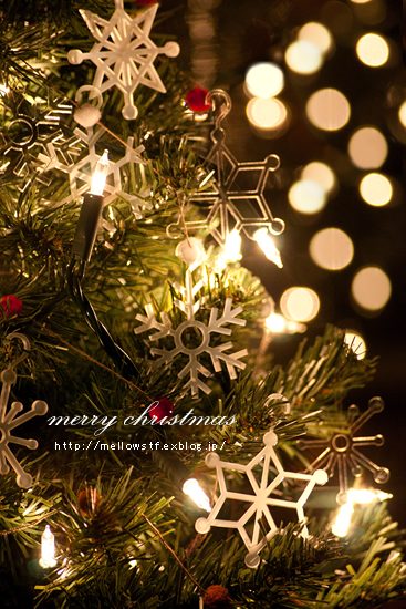 merry christmas | MELLEOW STUFF DESIGN | メロウスタフ | sumiko taniuchi | プロフォトグラファー | 写真撮影 | フラワーアレンジ | 東京都目黒区