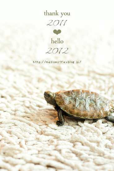 new year 2012 | main image | MELLOW STUFF DESIGN | メロウスタフ | 商品撮影 | 作品撮影 | 花雑貨制作販売 | 各種デザイン | 東京都目黒区