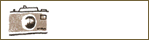 クリスマスのモチーフ★ | MELLOW STUFF DESIGN | メロウスタフデザイン | 商品撮影 | 作品撮影 | 花雑貨制作販売 | 各種デザイン | 東京都目黒区