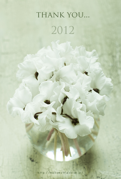 thank you… 2012 | MELLEOW STUFF DESIGN | メロウスタフ | sumiko taniuchi | プロフォトグラファー | 写真撮影 | フラワーアレンジ | 東京都目黒区