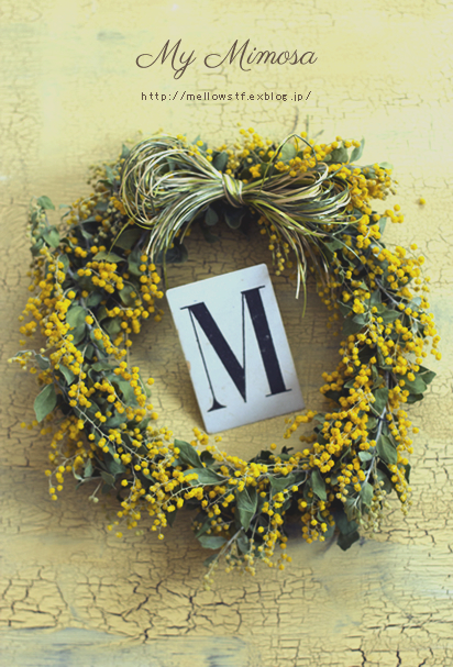 My Mimosa! | MELLOW STUFF DESIGN | メロウスタフデザイン | 商品撮影 | 作品撮影 | 花雑貨制作販売 | 各種デザイン | 東京都目黒区