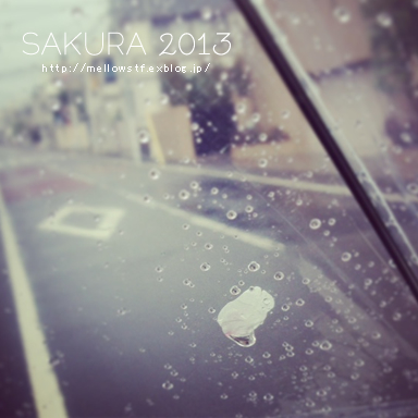 SAKURA 2013 | MELLEOW STUFF DESIGN | メロウスタフ | sumiko taniuchi | プロフォトグラファー | 写真撮影 | フラワーアレンジ | 東京都目黒区