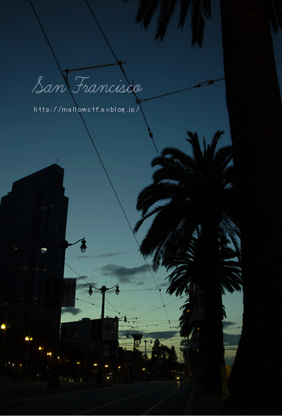 back to CA 2013 – 夜のサンフランシスコ – | MELLEOW STUFF DESIGN | メロウスタフ | プロフォトグラファー | フラワーアレンジ | 子宮体癌 闘病 | 東京都目黒区