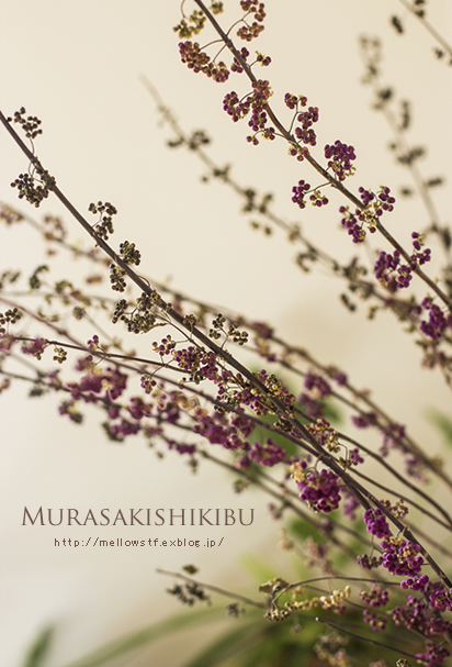紫陽花とハーブで。 | MELLEOW STUFF DESIGN | メロウスタフ | sumiko taniuchi | プロフォトグラファー | 写真撮影 | フラワーアレンジ | 東京都目黒区