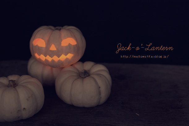 Jack-o’-Lantern | p.907 | MELLEOW STUFF DESIGN | メロウスタフ | フォトグラファー | フラワーアレンジ | 東京都目黒区 | 子宮体癌 闘病