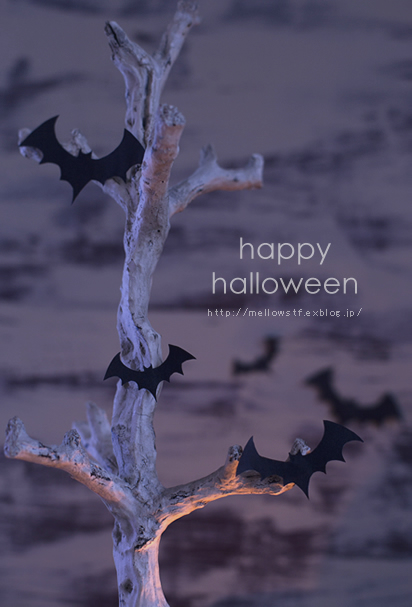 Happy Halloween! | p.908 | MELLEOW STUFF DESIGN | メロウスタフ | フォトグラファー | フラワーアレンジ | 東京都目黒区 | 子宮体癌 闘病
