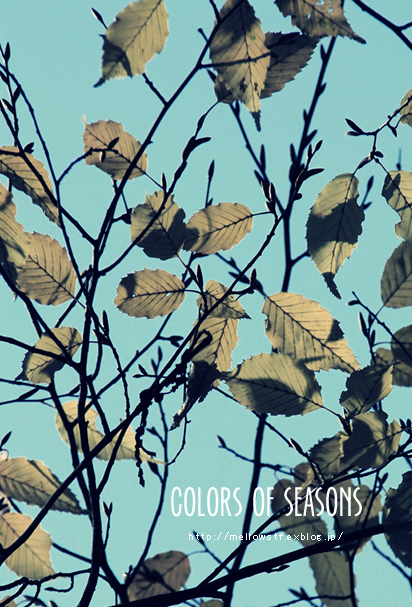 季節の色、いろいろ。 | main image | MELLOW STUFF DESIGN | メロウスタフ | 商品 作品 撮影 | 花雑貨 | 東京都目黒区