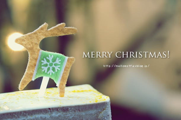 merry christmas! | MELLEOW STUFF DESIGN | メロウスタフ | sumiko taniuchi | プロフォトグラファー | 写真撮影 | フラワーアレンジ | 東京都目黒区