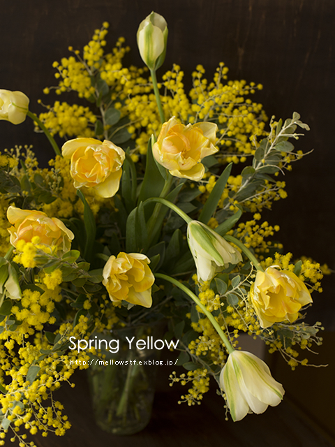 春の黄色 | MELLEOW STUFF DESIGN | メロウスタフ | プロフォトグラファー | フラワーアレンジ | 子宮体癌 闘病 | 東京都目黒区