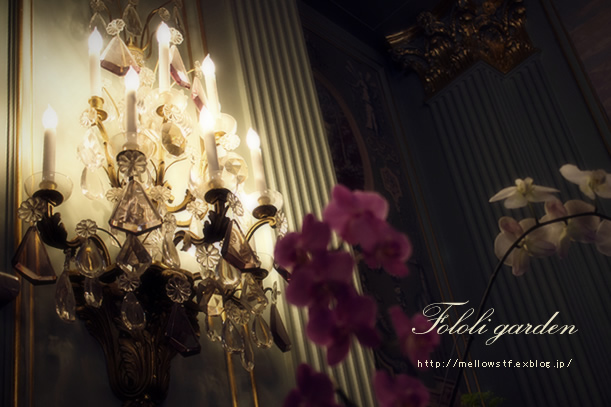 春のFILOLI GARDEN! | p.948 | MELLEOW STUFF DESIGN | メロウスタフ | フォトグラファー | フラワーアレンジ | 東京都目黒区 | 子宮体癌 闘病