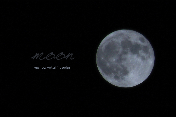 silver moon and gold moon | main image | MELLOW STUFF DESIGN | メロウスタフ | 商品 作品 撮影 | 花雑貨 | 東京都目黒区