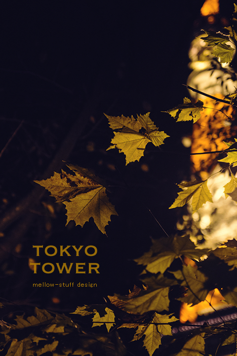 東京タワーと紅葉 | p.1077 | MELLEOW STUFF DESIGN | メロウスタフ | フォトグラファー | フラワーアレンジ | 東京都目黒区 | 子宮体癌 闘病