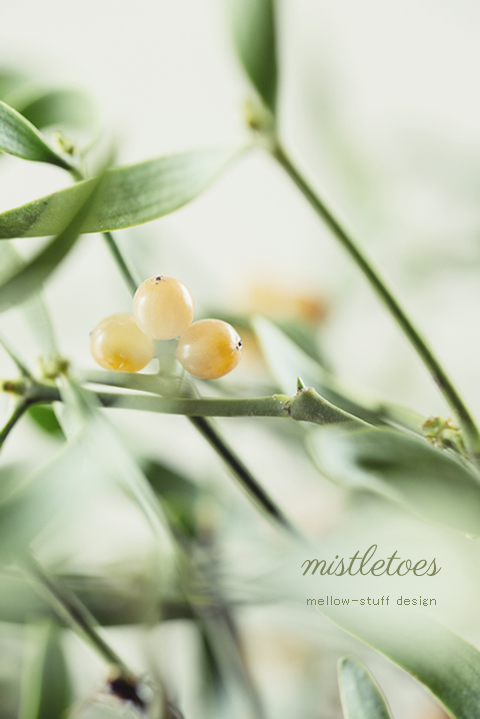mistletoes | MELLEOW STUFF DESIGN | メロウスタフ | sumiko taniuchi | プロフォトグラファー | 写真撮影 | フラワーアレンジ | 東京都目黒区