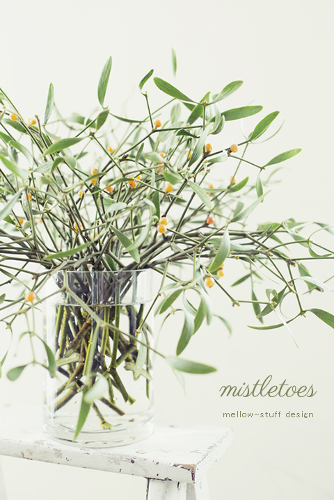mistletoes | p.1097 | MELLEOW STUFF DESIGN | メロウスタフ | フォトグラファー | フラワーアレンジ | 東京都目黒区 | 子宮体癌 闘病