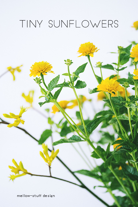 tiny sunflowers | MELLOW STUFF DESIGN | メロウスタフデザイン | 商品撮影 | 作品撮影 | 花雑貨制作販売 | 各種デザイン | 東京都目黒区