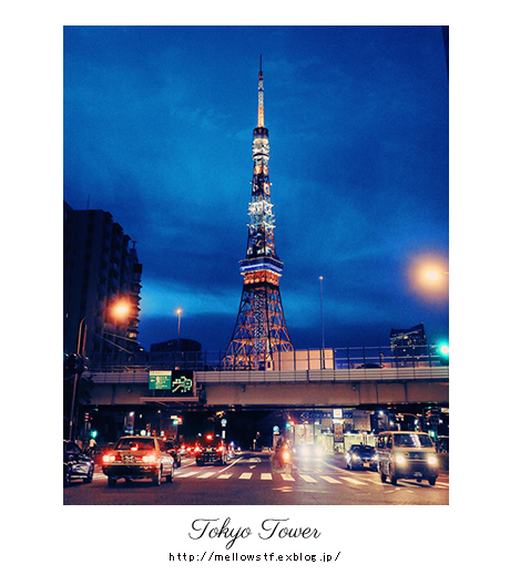 車の中からスマホで東京タワー | MELLEOW STUFF DESIGN | メロウスタフ | sumiko taniuchi | プロフォトグラファー | 写真撮影 | フラワーアレンジ | 東京都目黒区