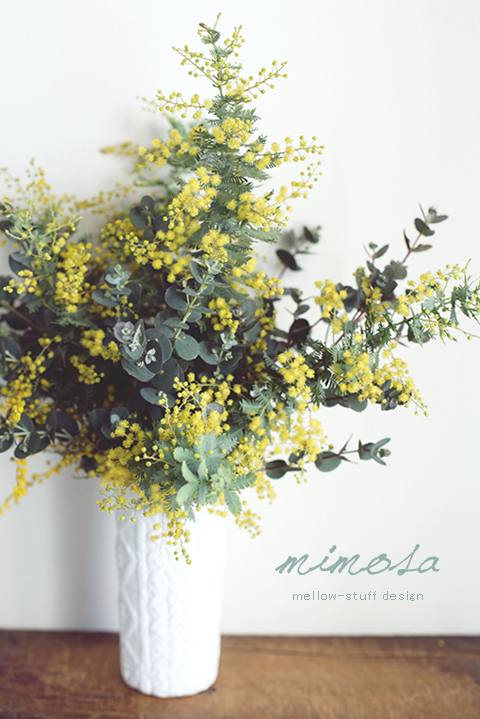 mimosa | MELLEOW STUFF DESIGN | メロウスタフ | sumiko taniuchi | プロフォトグラファー | 写真撮影 | フラワーアレンジ | 東京都目黒区