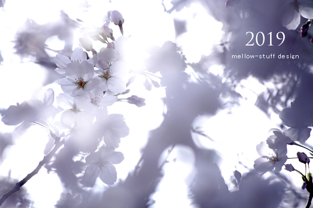 2019年の桜いろいろ。 | p.1317 | MELLEOW STUFF DESIGN | メロウスタフ | フォトグラファー | フラワーアレンジ | 東京都目黒区 | 子宮体癌 闘病