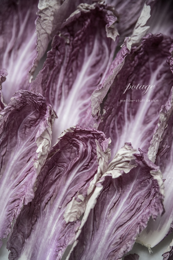 紫白菜の紫色のポタージュ | MELLOW STUFF DESIGN | メロウスタフデザイン | 商品撮影 | 作品撮影 | 花雑貨制作販売 | 各種デザイン | 東京都目黒区